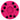 Pink roller hockey puck with black bearings on a white background